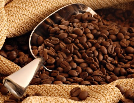 Cà phê Robusta hạt rang - Cà Phê An Thịnh - Cơ Sở Mua Bán, Sản Xuất Cà Phê Bột An Thịnh